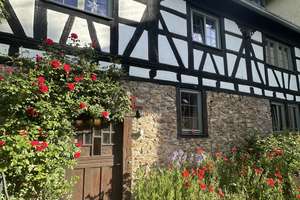 Wohnen im schönen Johannisberg (Rheingau) – Die vollständige Adresse der Immobilie erhältst du vom Anbieter., 65366 Geisenheim – Vorschaubild 2