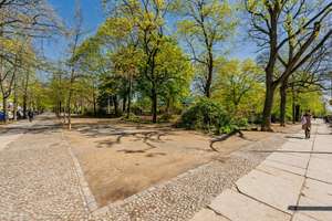 Provisionsfrei! Vermietete 2-Zi.-Altbauwohnung in Bestlage-Prenzlauer Berg als Zukunftsabsicherung – Die vollständige Adresse der Immobilie erhältst du vom Anbieter., 10407 Prenzlauer Berg, Berlin – Vorschaubild 19