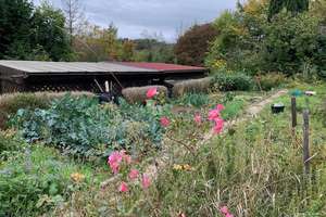 Interessante ANLAGE mit Süd-Aussicht und Garten-Glück! – Die vollständige Adresse der Immobilie erhältst du vom Anbieter., 75179 Brötzingen, Pforzheim – Vorschaubild 5