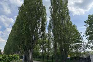 Seltenes Reihenendhaus an der Rummelsburger Bucht mit Garten, Terrasse und unverbaubarem Wasserblick – Die vollständige Adresse der Immobilie erhältst du vom Anbieter., 10317 Rummelsburg, Berlin – Vorschaubild 7