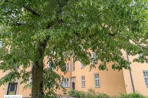 3,5-Zimmer City-Wohnung mit Sanierungspotential – Unter den Eichen 103, 12203 Lichterfelde, Berlin – Vorschaubild 13