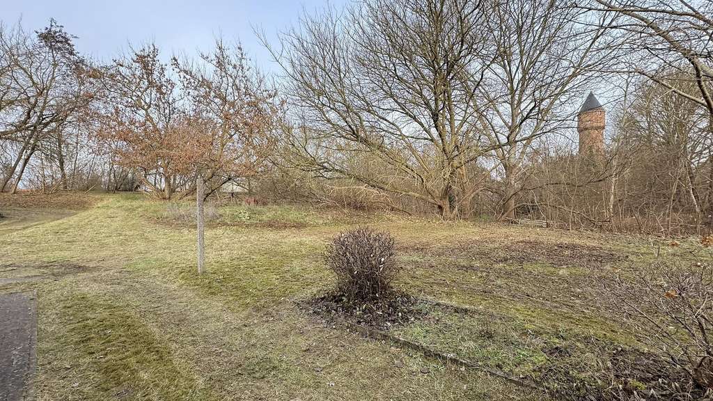 Immobilie in Lübz - In zentraler Lage mit viel Garten - Bild 4