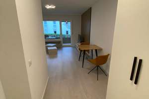 1-Zimmer-Apartment, Voll möbliert in Wiesbaden – Kanzelstr. 11, 65191 Bierstadt, Wiesbaden – Vorschaubild 9