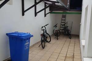 Schöne helle, ruhige zwei Zimmer Wohnung in Bonn Poppelsdorf, an Single. – Sternenburgstasse 66, 53115 Poppelsdorf, Bonn – Vorschaubild 14