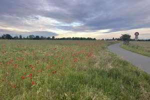 Charmantes Siedlungshaus am Elberadweg mit großem Garten - ohne Makler! – Die vollständige Adresse der Immobilie erhältst du vom Anbieter., 1139 Kaditz, Dresden – Vorschaubild 5