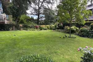 Property thumbnail 15