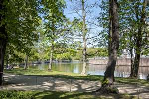 Jetzt einziehen: 2 Zimmer - saniert - Gewerbeeinheit zur Wohnnutzung - provisionsfrei kaufen! – Kaiserin-Augusta-Allee 49, 10589 Charlottenburg, Berlin – Vorschaubild 16