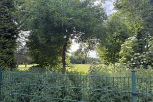 Villa direkt am Golfplatz in Berlin Kladow *provisionsfrei*  – Die vollständige Adresse der Immobilie erhältst du vom Anbieter., 14089 Kladow, Berlin – Vorschaubild 6