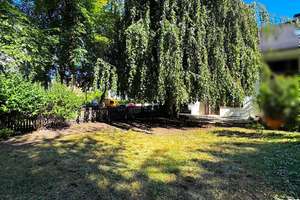 Beste Lage am Hirschgarten: Traumobjekt mit Sanierungsbedarf – De-la-Paz-Str. 83, 80639 Nymphenburg, München – Vorschaubild 7
