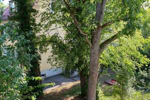 Architektenklassiker in Bestlage von Obermenzing mit großen Garten - stilvolles Reiheneckhaus – Pflegerstraße 15A, 81247 Obermenzing, München – Vorschaubild 23