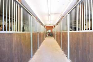 Exklusive Hofreite mit EFH, ZFH & Pferdehaltung in privater Waldrandlage – Die vollständige Adresse der Immobilie erhältst du vom Anbieter., 63834 Sulzbach am Main – Vorschaubild 7
