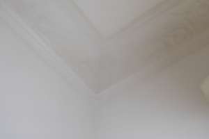 Property thumbnail 22