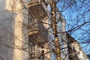 Property thumbnail 11