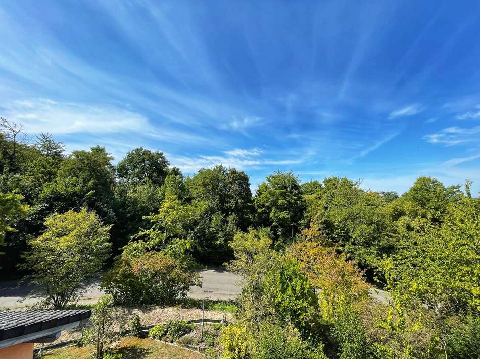 Ausblick von der Dachterrasse