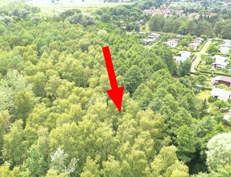 Wald Und Landwirtschaft In Brandenburg Kaufen