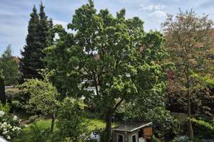 Traumhafte 2,5 -Zimmer-Wohnung mit Wohnküche + Südbalkon – Jägerstraße 20, 48153 Josef, Münster – Vorschaubild 6