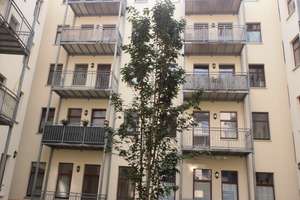 Gemütliche 2-Raum-Wohnung mit EBK und Terrasse in Sudenburg sucht nette Mieter! – Lemsdorfer Weg 8, 39112 Sudenburg, Magdeburg – Vorschaubild 16