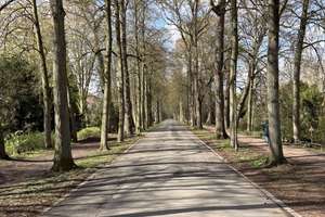 LIEBHABEROBJEKT an der PROMENADE – 48147 Kreuz, Münster – Vorschaubild 15