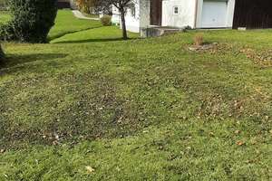 Charmantes Einfamilienhaus in ruhiger, ländlicher Lage mit großem Garten – Großhaarbach 28, 94167 Tettenweis – Vorschaubild 8