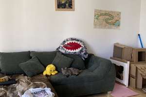 Zimmer in einer WG in Berlin für eine Einzelperson. Anmeldung möglich. – Möllenseestraße 12, 12587 Friedrichshagen, Berlin – Vorschaubild 11