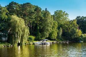 Property thumbnail 13