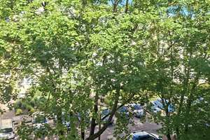 Zentral gelegene 2-Raum-Wohnung mit Balkon! – 39112 Leipziger Straße, Magdeburg – Vorschaubild 13