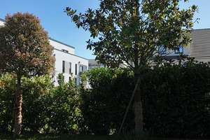 Einfamilienhaus - Neubau - Rodenkirchen im Sürther Feld – Die vollständige Adresse der Immobilie erhältst du vom Anbieter., 50999 Rodenkirchen (Ortsteil), Köln – Vorschaubild 4