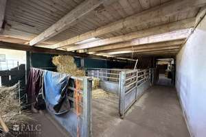 ***Mehrfamilienhaus & Exklusiver Pferdehof mit Reitanlage auf ca 21.000 m² Grundstück*** – Die vollständige Adresse der Immobilie erhältst du vom Anbieter., 37574 Einbeck – Vorschaubild 18