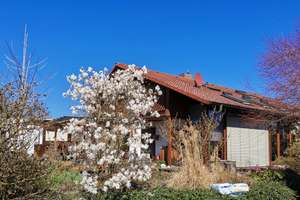 Sehr schönes großes EFH mit tollem Garten und einer Gewerbeeinheit mit 446qm – Marbacher Weg ?, 74231 Bietigheim-Bissingen – Vorschaubild 2
