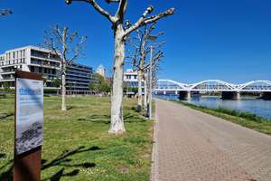 Wohnen am Rhein – Moderne 3-Zimmer-Wohnung mit Balkon und Wasserblick – 67061 Süd, Ludwigshafen am Rhein – Vorschaubild 12