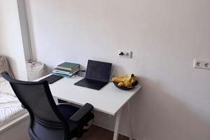 Zimmer mit eigener Küche in frisch saniertem Haus:) (Einzug ab 1.8.2026 oder 1.9.2026) – Semmelstraße 47, 97070 Altstadt, Würzburg – Vorschaubild 6