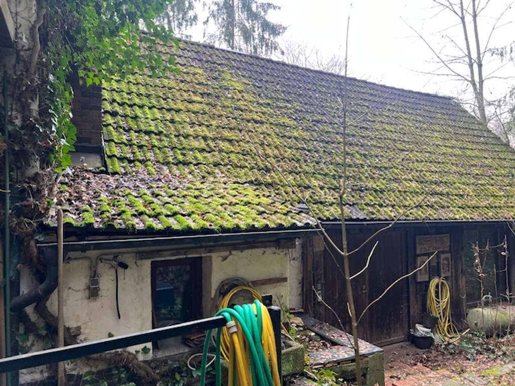 Immobilie in Auerbach - Idyllisches Anwesen (Baujahr 1690) auf ca. 32.000 m² großem Grundstück in absoluter Alleinlage - Bild 4