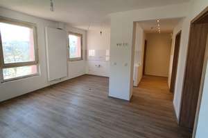 komplett renovierte schöne 3 Raum Wohnung mit ebenerdiger Dusche, Altengerecht! – Suermondstr. 6, 47137 Untermeiderich, Duisburg – Vorschaubild 9