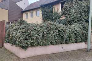 Eine Kapitalanlage in der zentralen Lage! – Helmstedt (Kreis) – Vorschaubild 3