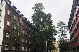 Großzügige Altbauwohnung mit zwei Balkonen, Loggia und viel Raum für die Familie – 40476 Derendorf, Düsseldorf – Vorschaubild 3