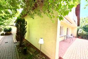 Tolles Einfamilienhaus in ruhiger und doch zentraler Lage mit Einliegerwhg. – Die vollständige Adresse der Immobilie erhältst du vom Anbieter., 69120 Neuenheim, Heidelberg – Vorschaubild 9
