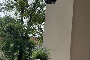 Property thumbnail 31