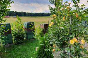 Hütte mit Garten – Hannoversche Straße 0, 30900 Wedemark – Vorschaubild 3