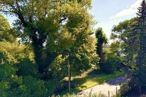 Property thumbnail 29