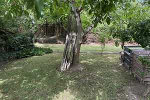Stille Idylle am Ammelbach: Kleines EFH mit dennoch viel Platz und beschaulichem Garten - Bubenheim! – Donnersbergkreis – Vorschaubild 36