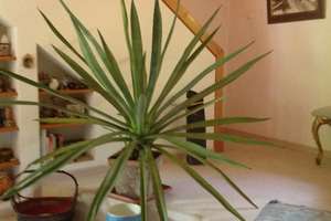 Property thumbnail 5