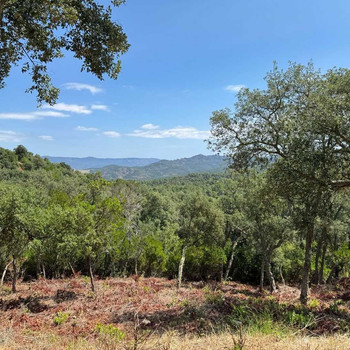 Objekt zum Verkauf in Llagostera