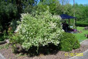 Historische Whg. mit Kaminzimmer auf einem  Gutshof  im Landschaftsschutzgeb. – Die vollständige Adresse der Immobilie erhältst du vom Anbieter., 45307 Leithe, Essen – Vorschaubild 34