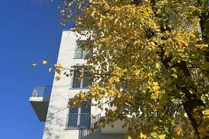 Property thumbnail 45