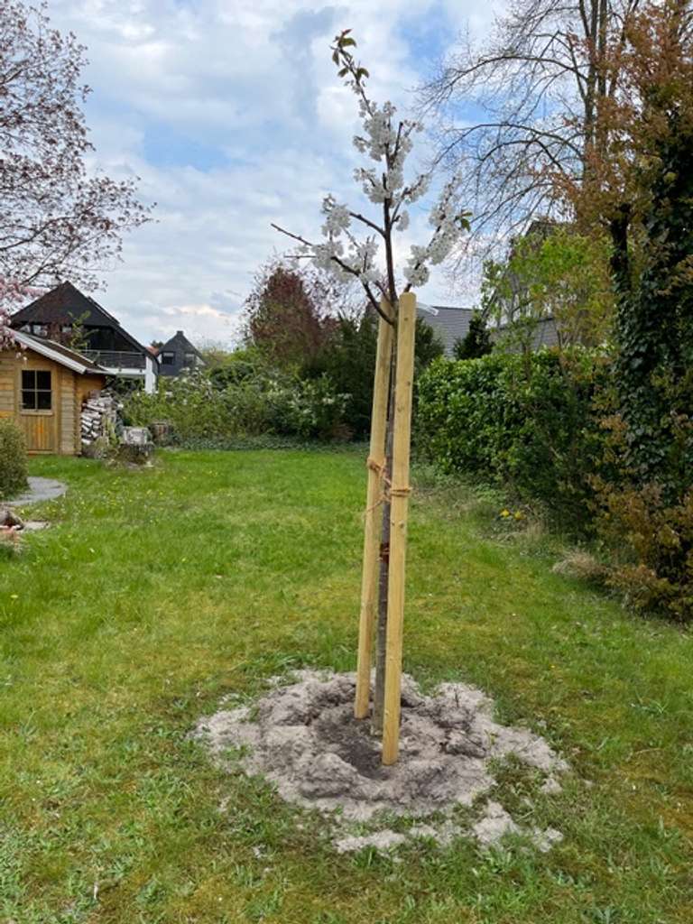 Immobilie in Achim - Renovierungsbedürftiges 14-Zimmer Einfamilienhaus in Achim - Bild 0