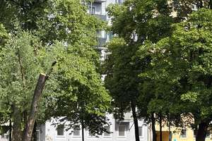 Wohnen im Lehel, wo München am schönsten ist - stilvolle Wohnung mit zwei Balkonen und Isarblick – 80538 Lehel, München – Vorschaubild 6