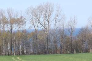 Property thumbnail 14