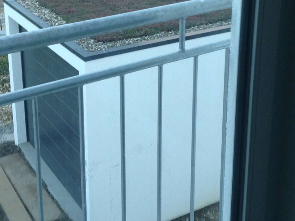 Dachbegrünung nach Vorgabe