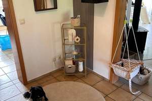 Gepflegtes 5-Zimmer-Haus mit Garage in Simmelsdorf – Birkensteinweg 3, 91245 Simmelsdorf – Vorschaubild 24