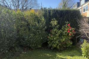 Property thumbnail 8